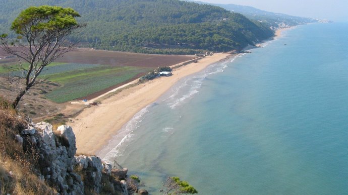 Spiaggia di San Menaio con pineta d’Aleppo e mare turchese nel Gargano, Puglia.