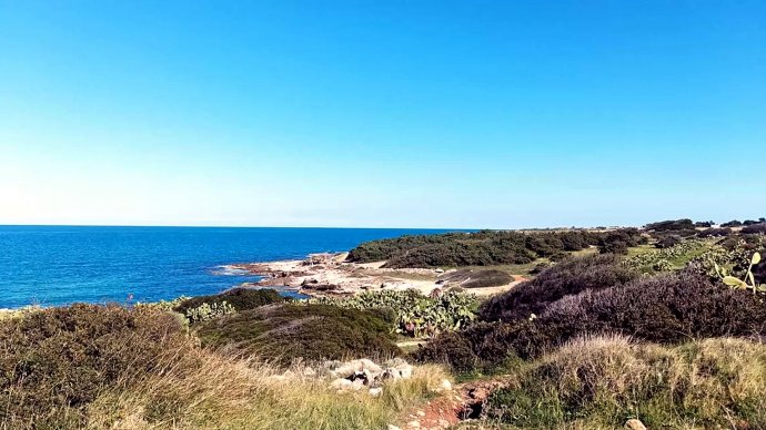 Costa Ripagnola, tra Polignano e Monopoli: macchia mediterranea e scogliera sul mare turchese