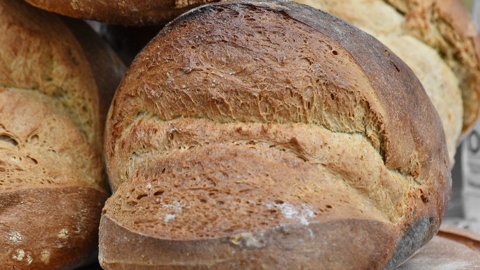Pagnotta di Pane di Altamura DOP con crosta brunita e taglio accavallato