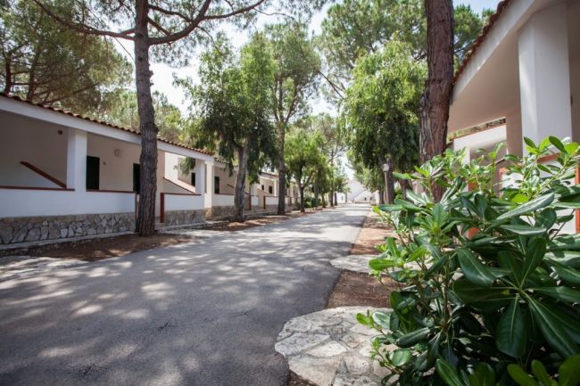 Strada alberata tra edifici moderni bianchi.