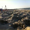 Primo piano di sabbia su una spiaggia, mare all'orizzonte.
