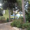 Un giardino alberato con sentieri in pietra e una casa verde.